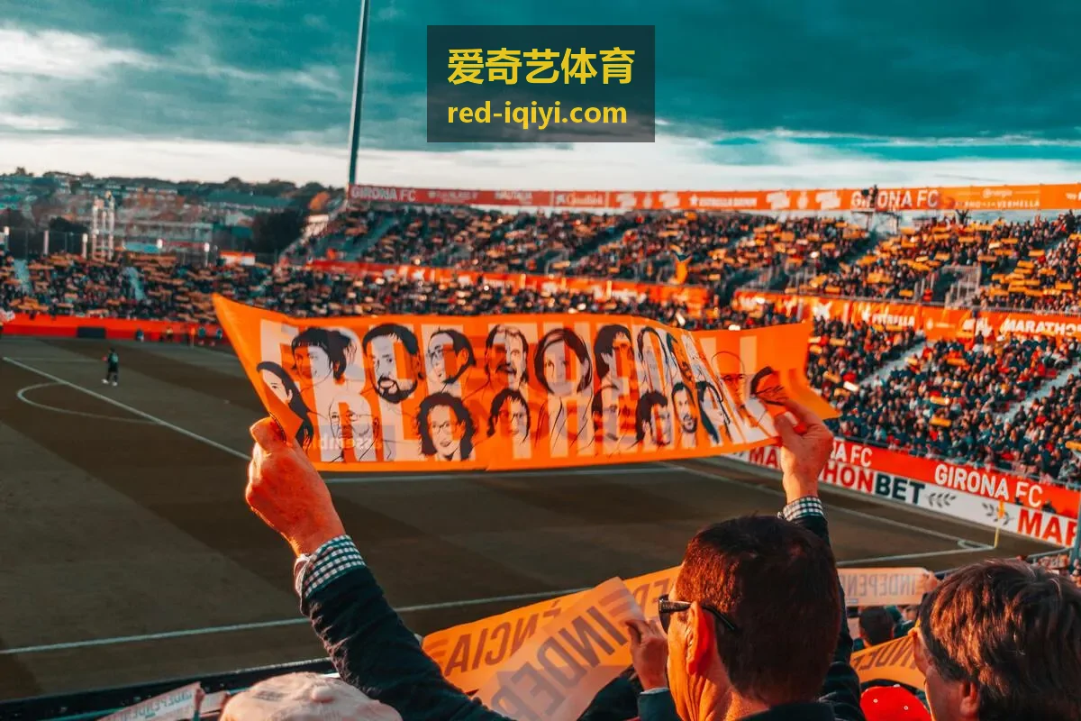 爱奇艺体育比分数据封面